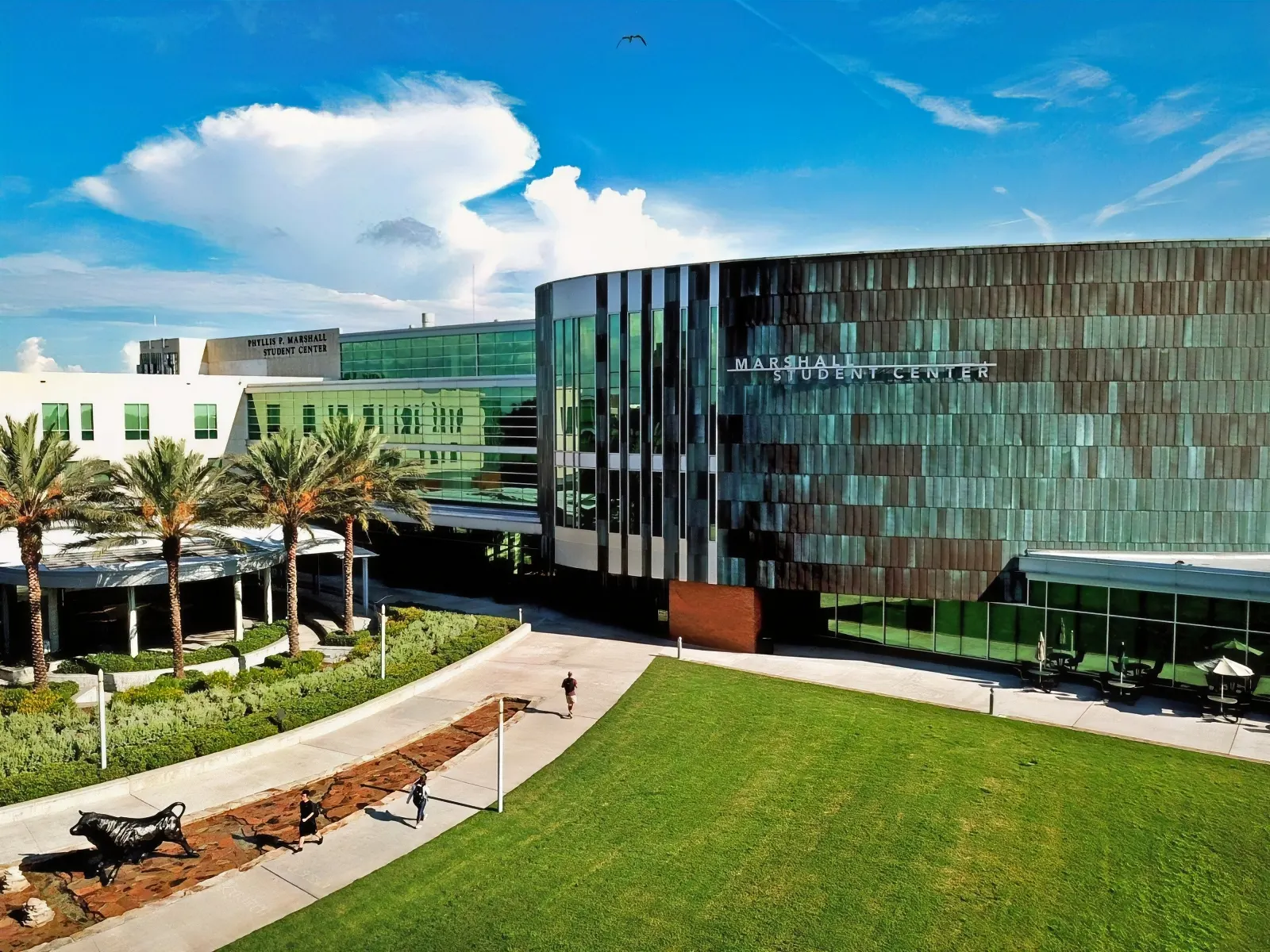 USF Student Government Office Acoustic Treatment Soundproofing