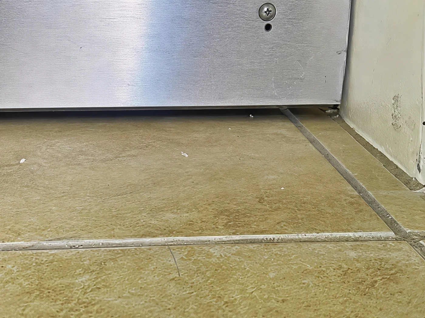 Luxury Timeshare Door Sweep Detail ASTC Field Test
