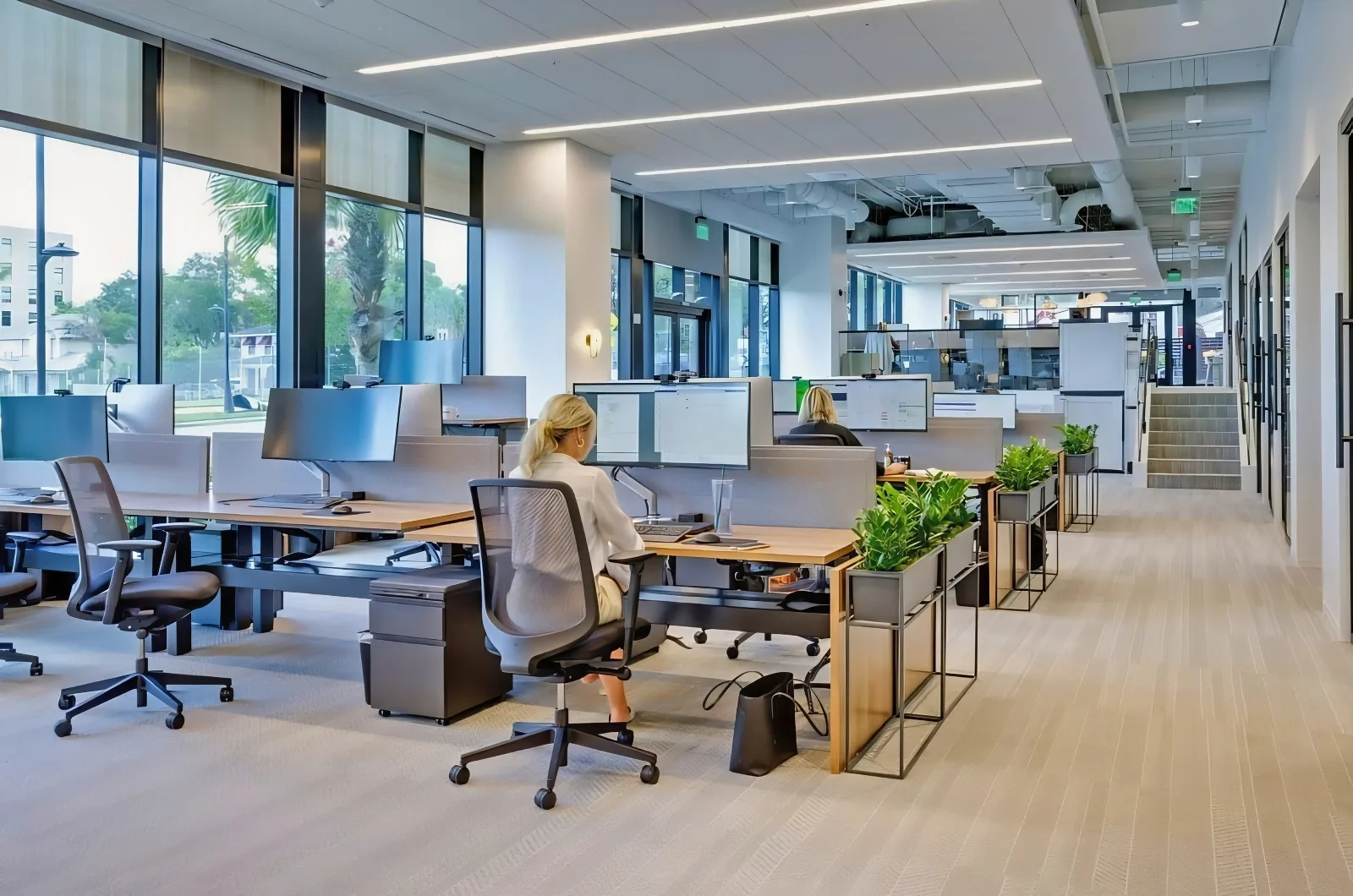 Tampa Open Office Need Acoustic Sound Panels for Speech Privacy