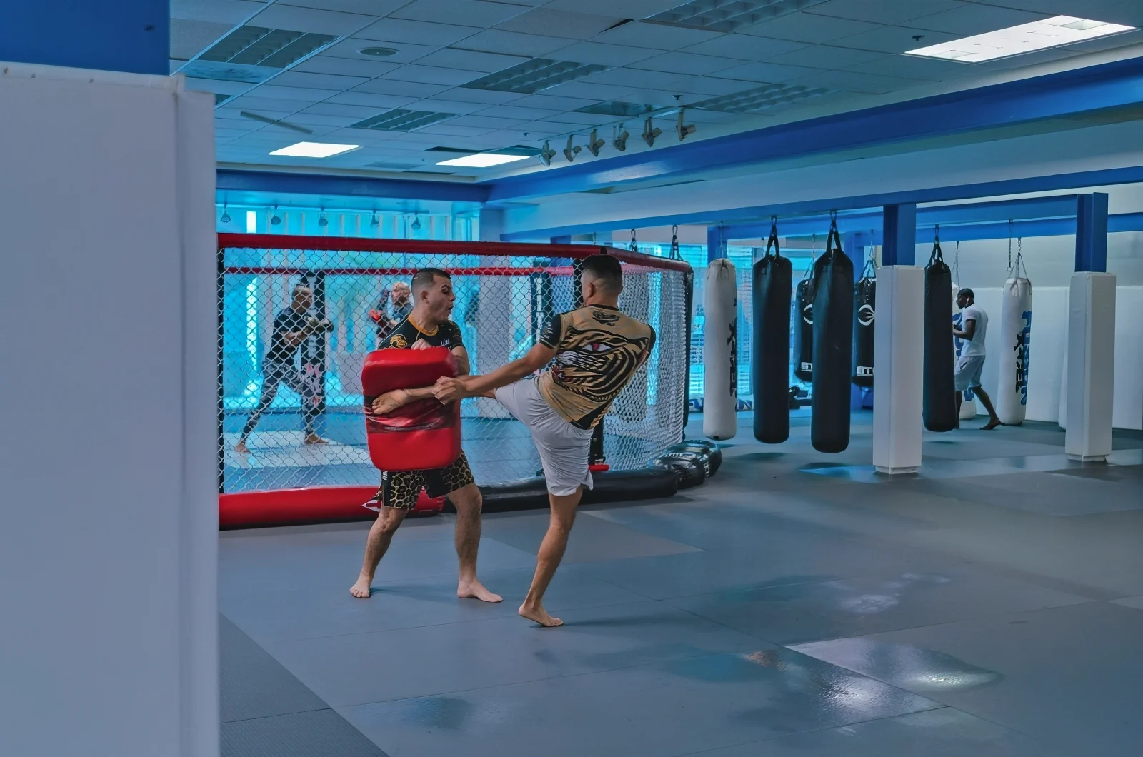 Gym Noise Reduction Acoustic Treatment for Kickboxing Fitness Studio