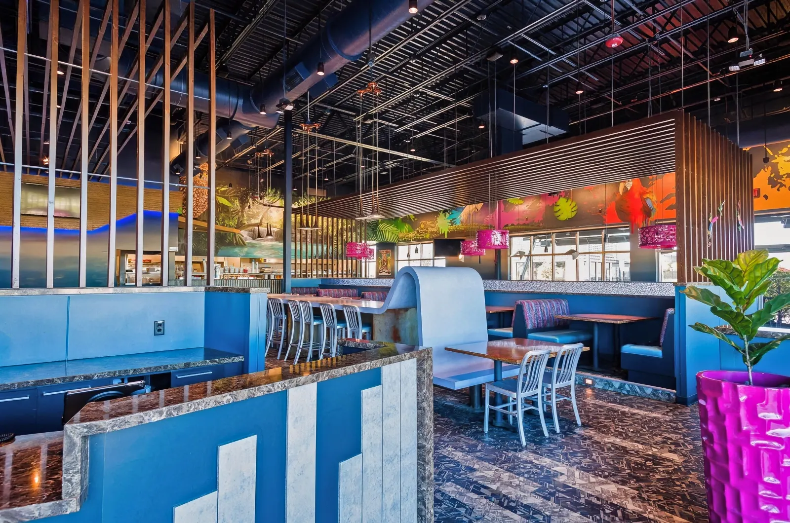 Mellow Mushroom Pizzeria Lutz Florida Acoustic Treatment