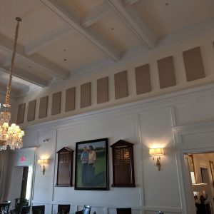 clubhouse acoustic panels