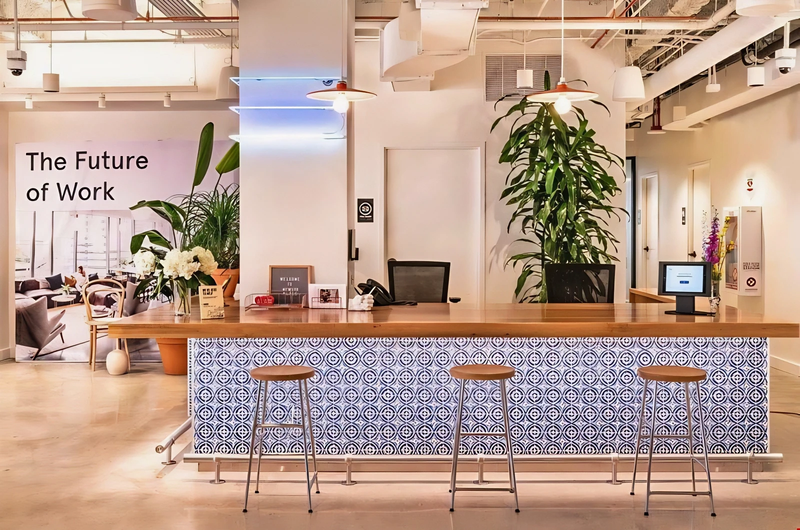 Zintra Acoustic Panels for WeWork Tampa