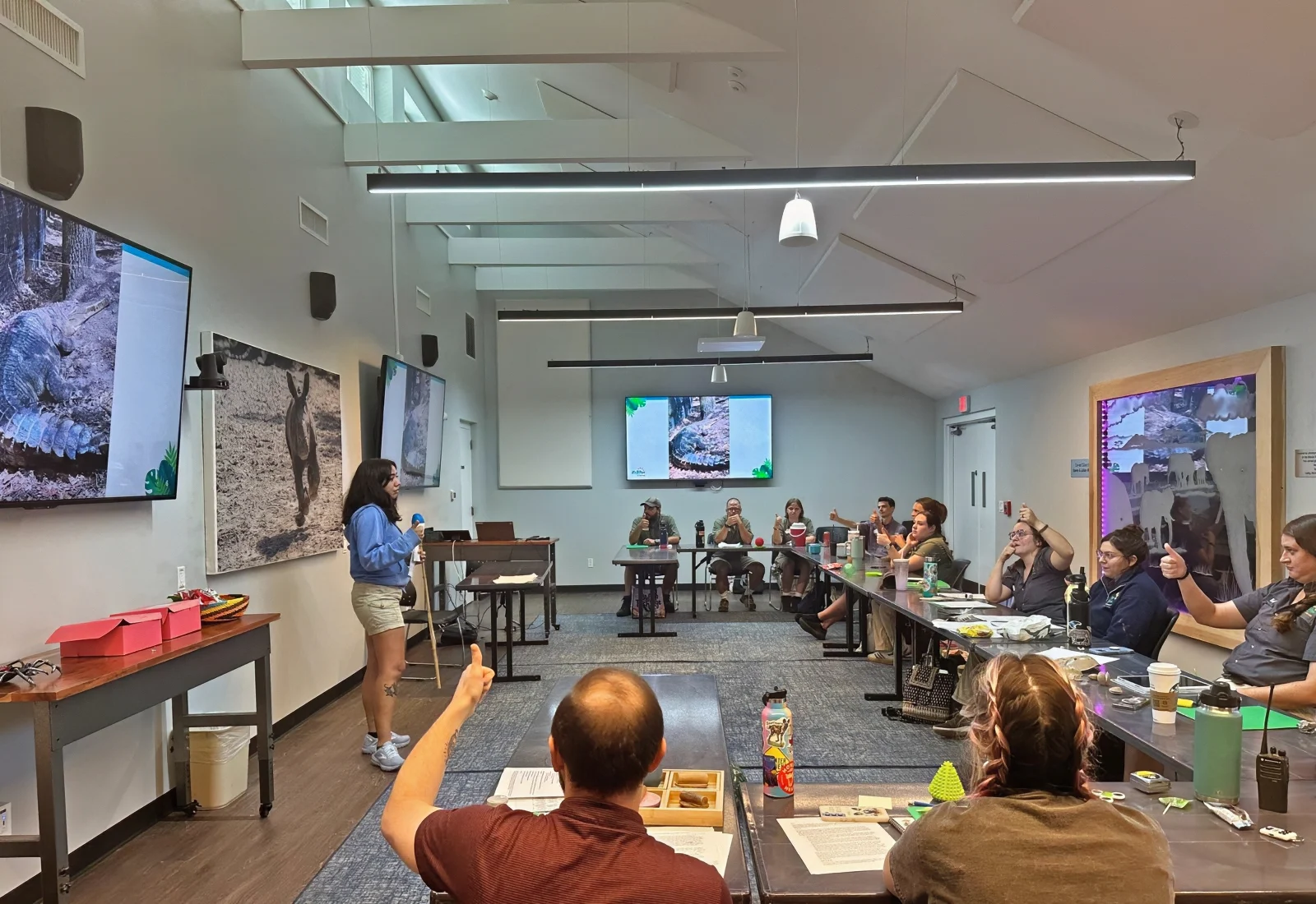 Art Wrapped Acoustic Panels Tampa Zoo Enhances Aesthetics