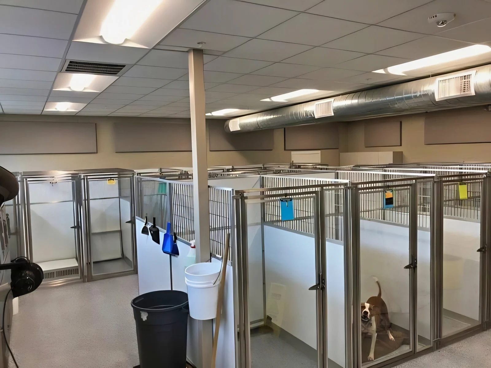 Acoustic Wall Panels to Reduce Echo and Reverberation