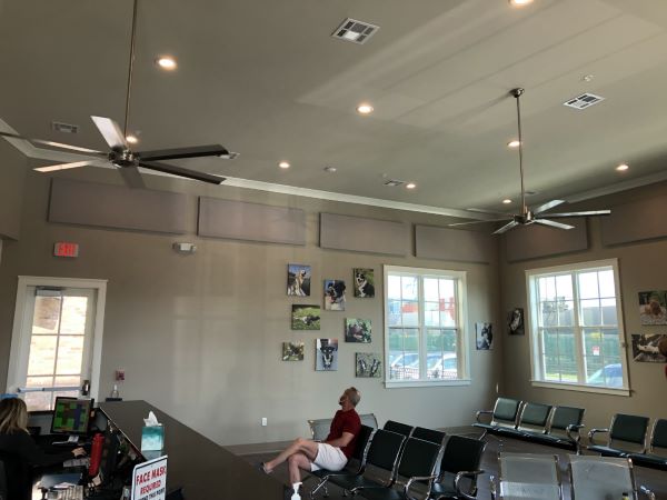 veterinarian office soundproofing and acoustic treatment