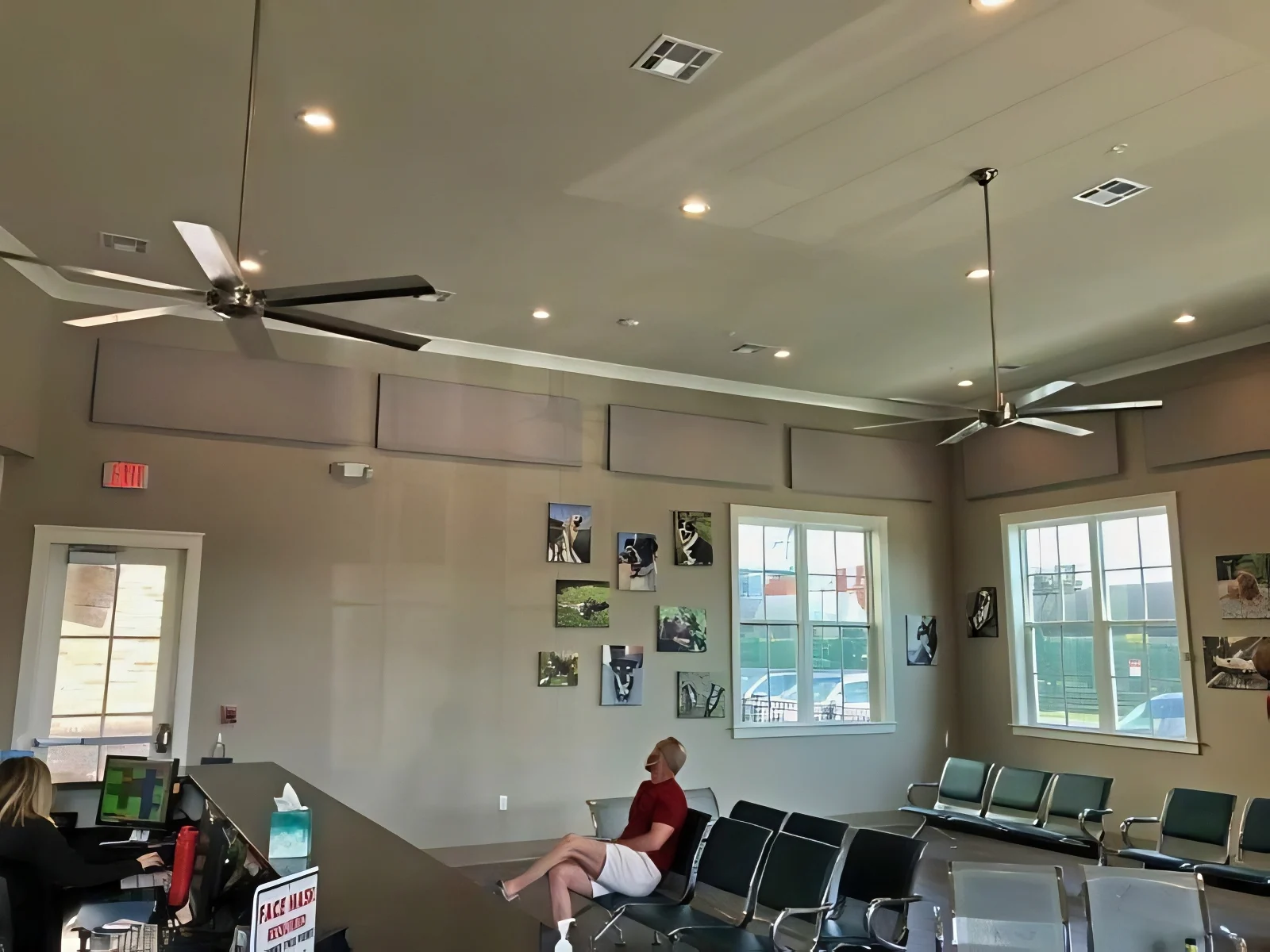 Prytania Vet Lobby Noise Control Treatment
