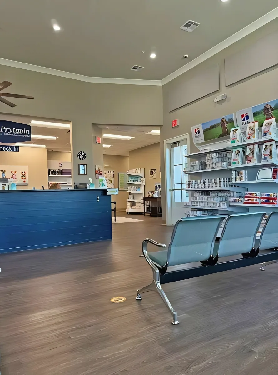 Prytania Vet Offices Acoustic Treatment