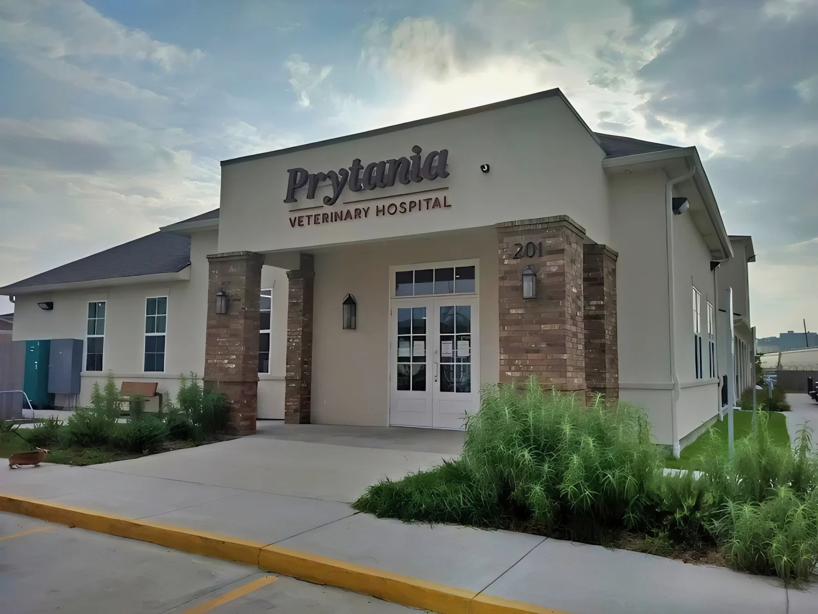 Prytania Vet Soundproofing Creates more Comfortable Environment for Pets & Staff