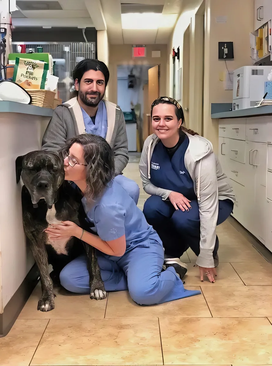 Quieter Prytania Vet Less Stress for Pets