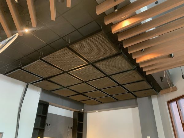Specialty Acoustic Ceilings