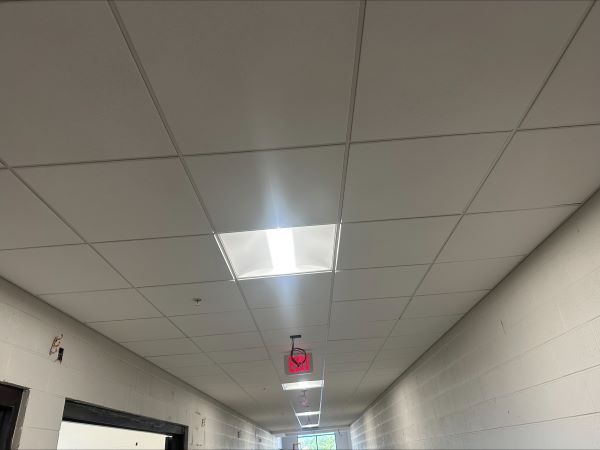 acoustic ceiling tiles