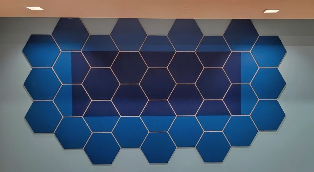 Arthrex Office with Royal Blue Hex Tiles for Soundproofing