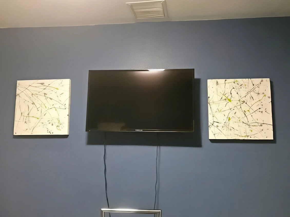 Trial 2 conference room wall with two 2x2 acoustic panels installed